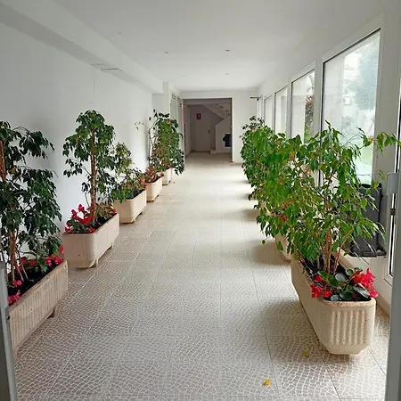 Apartment Residencial Casablanca 301,playa Romana